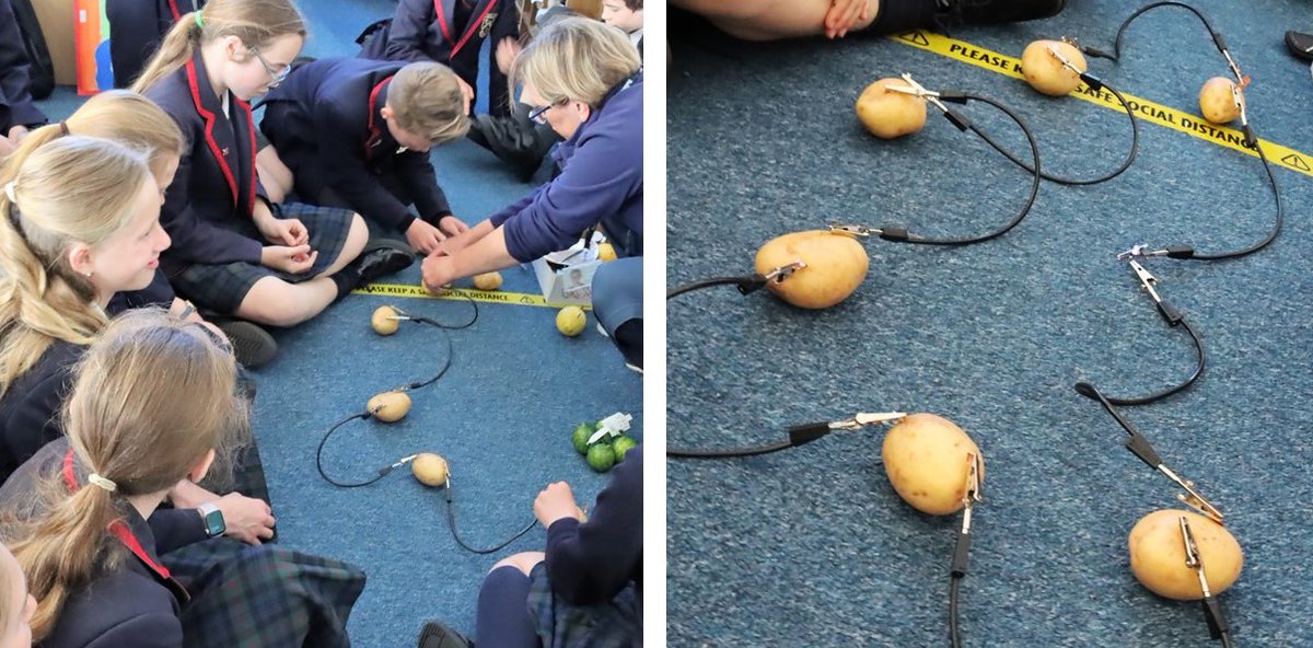 BallardSchool's tweet image. Potato Power! Year 6 was amazed to be able to generate power from potatoes in their Science lesson this week. #STEM #Science #UpperPrep #PrepSchoolHampshire
