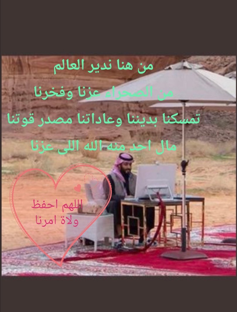 طيرالسعودية tweet media