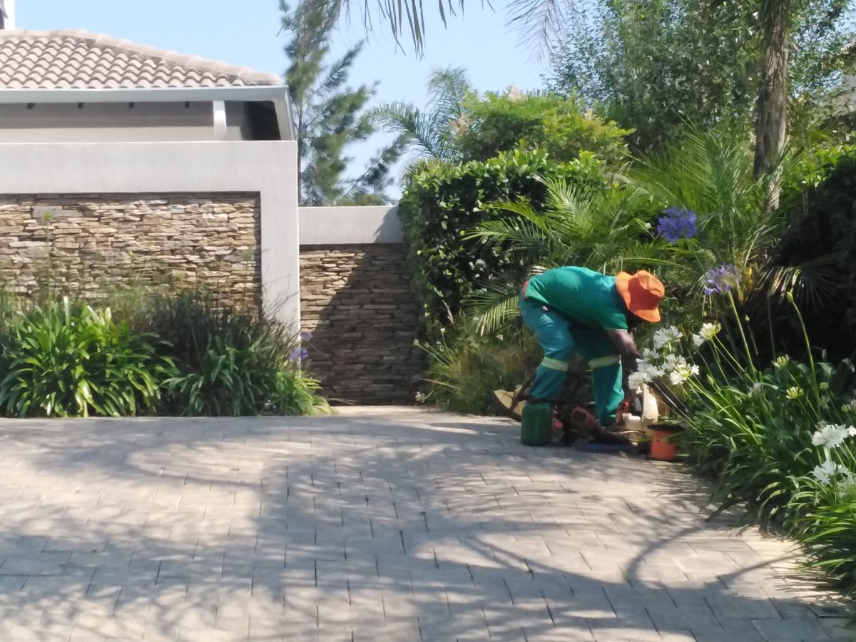 RonewaCreations's tweet photo. Garden Maintenance gives you peace of mind and your surroundings will appreciate you for that!
Contact us 0836753842/0730123835
https://t.co/JmFTn7eUSe
#RonewaCreations
#LoveYourSurroundings https://t.co/Se2lMaRwAW