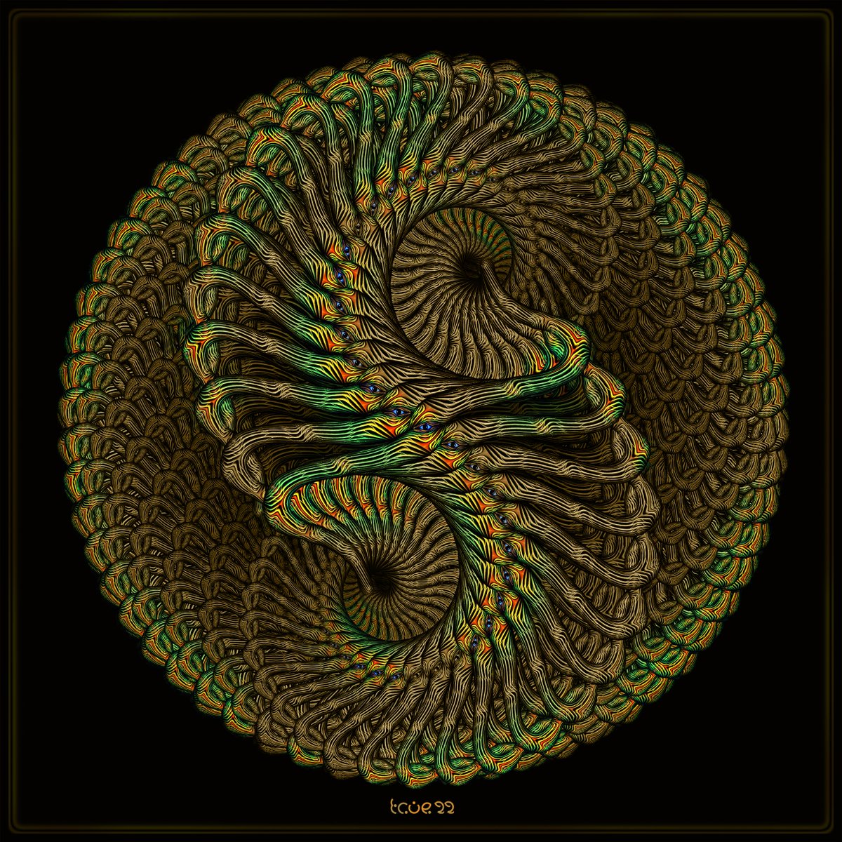 Trootootoo tweet media