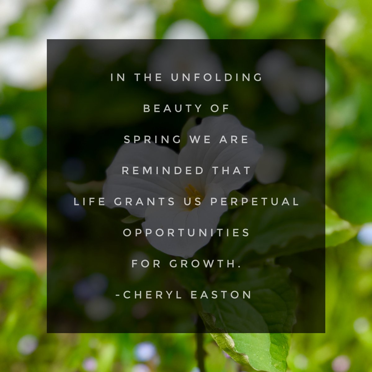 cheryleaston_'s tweet photo. When we grow, we know.
#youareenough #toeverythingthereisaseason #realtorandmotivator #cheryleaston https://t.co/vZinI9tchp