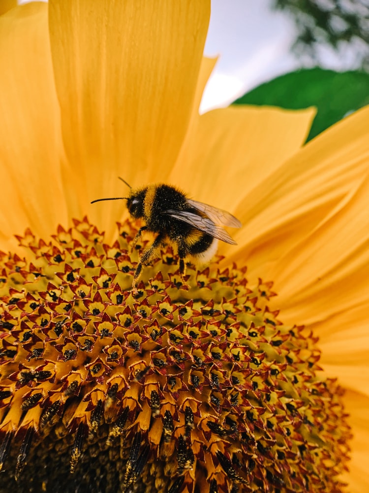 Doing our bit for a perfect planet with these eco-tastic activities that are rooted in sustainability both online or in-person. 
See our full range of team building activities: mask.co.uk/wp-content/upl…