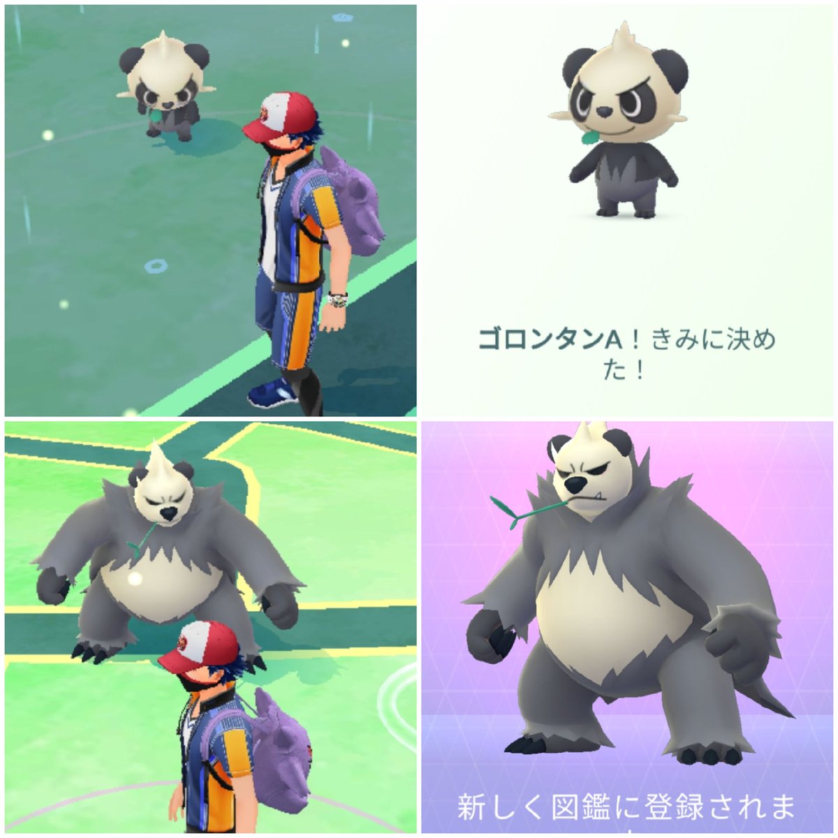 Amazinghisa 今日のポケモンgo活動1 イベント最初の色違いはアローラコラッタ ヤンチャムを相棒にして 悪タイプ捕獲 ゴロンダに進化 図鑑登録 今日は新しく4種のシャドウを救出 ソーナンスをリトレーンしたら 100 に ポケモンgo アローラ