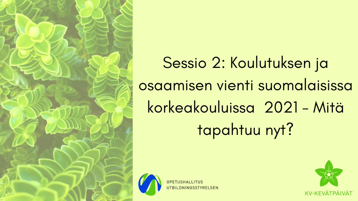 EDUFI_HigherEd's tweet photo. Mitä tapahtuu koulutuksen ja osaamisen viennin kentällä suomalaisissa korkeakouluissa? Ajankohtaisista  teemoista kertomassa #kvkevätpäivät sessiossa asiantuntijat @liisa_timonen, @TeirHannele,  @jjsFinland, @LoponenKati, @MerviPalander1, @Jounis ja @ParviainenPetri https://t.co/VqAAEjkDWQ
