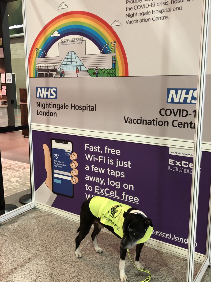 ILoveDodgerDog (@i_dodger) on Twitter photo This #dodgerdog new twitter please follow &share thanks <a href="/NHSBartsHealth/">Barts Health</a> <a href="/Barts_Charity/">Barts Charity</a> @victoriaturone <a href="/LTrinnaman/">Louis Trinnaman</a> <a href="/EmpoweringKim/">Kim Wymer</a> <a href="/Blondiesmmt/">Siobhan🐜</a> <a href="/CatrionaRowland/">Catriona (Catrina)💙 #BHWellbeing</a> @NewhamHospital <a href="/LDNairamb/">London's Air Ambulance Charity</a> <a href="/NewhamFlubox/">NewhamHospital_Flufighters Team</a> @WhippsCrossHosp @RosiePittock @RoyalLondonHosp #volunteering #Vaccinecentre This #dodgerdog new twitter please follow &share thanks <a href="/NHSBartsHealth/">Barts Health</a> <a href="/Barts_Charity/">Barts Charity</a> @victoriaturone <a href="/LTrinnaman/">Louis Trinnaman</a> <a href="/EmpoweringKim/">Kim Wymer</a> <a href="/Blondiesmmt/">Siobhan🐜</a> <a href="/CatrionaRowland/">Catriona (Catrina)💙 #BHWellbeing</a> @NewhamHospital <a href="/LDNairamb/">London's Air Ambulance Charity</a> <a href="/NewhamFlubox/">NewhamHospital_Flufighters Team</a> @WhippsCrossHosp @RosiePittock @RoyalLondonHosp #volunteering #Vaccinecentre
