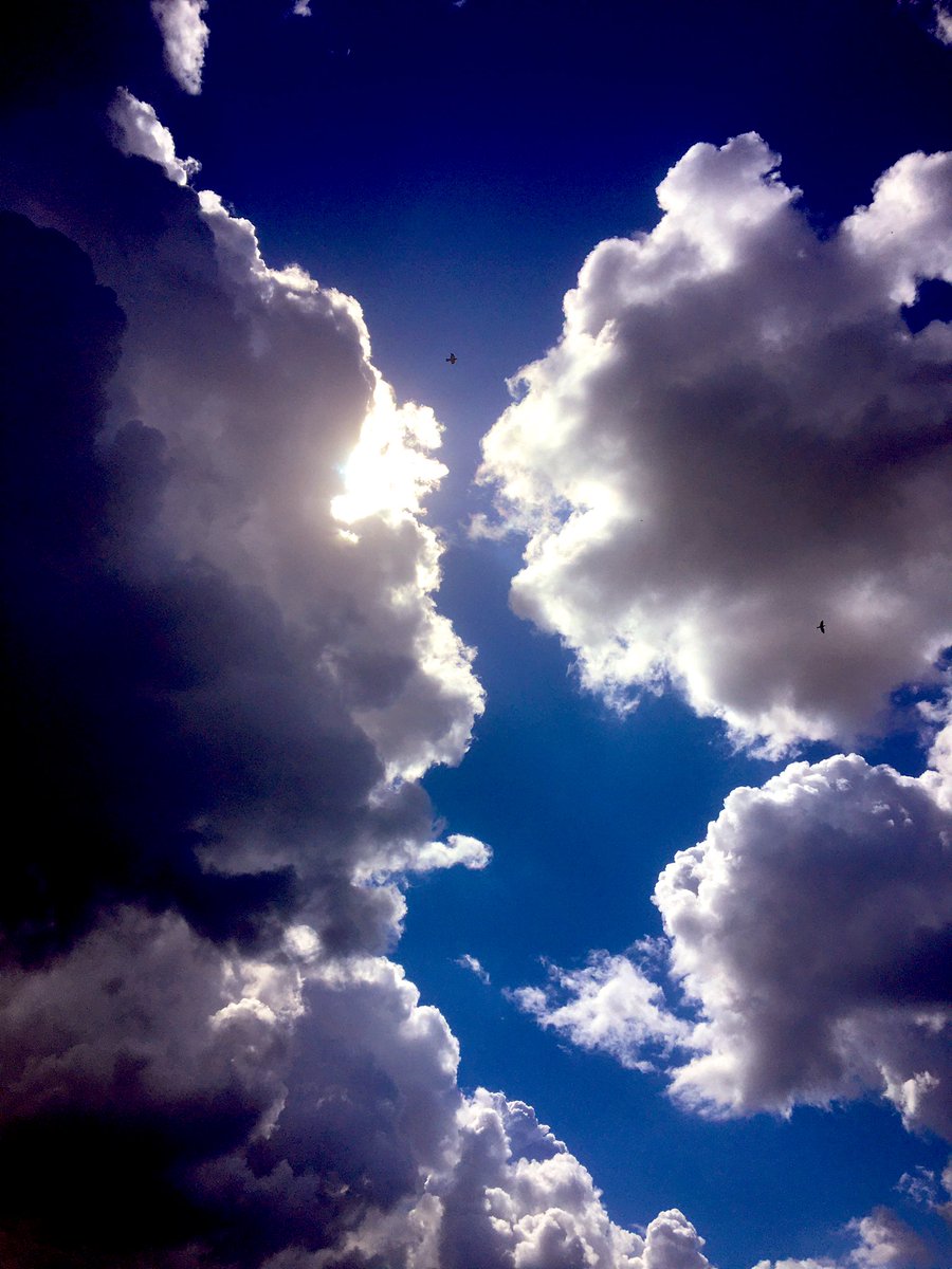 whitestarhullfc's tweet photo. SORRY but it’s clouds again #walk #litterrun #Hull https://t.co/eY1xTK3uKA