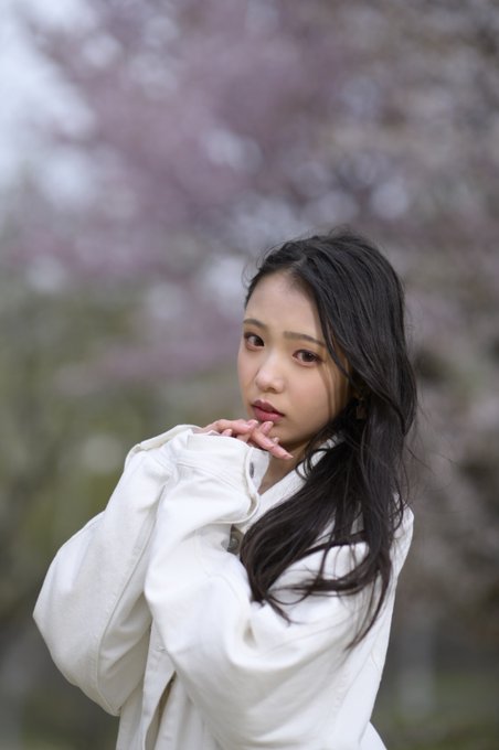 noaのTwitter画像11