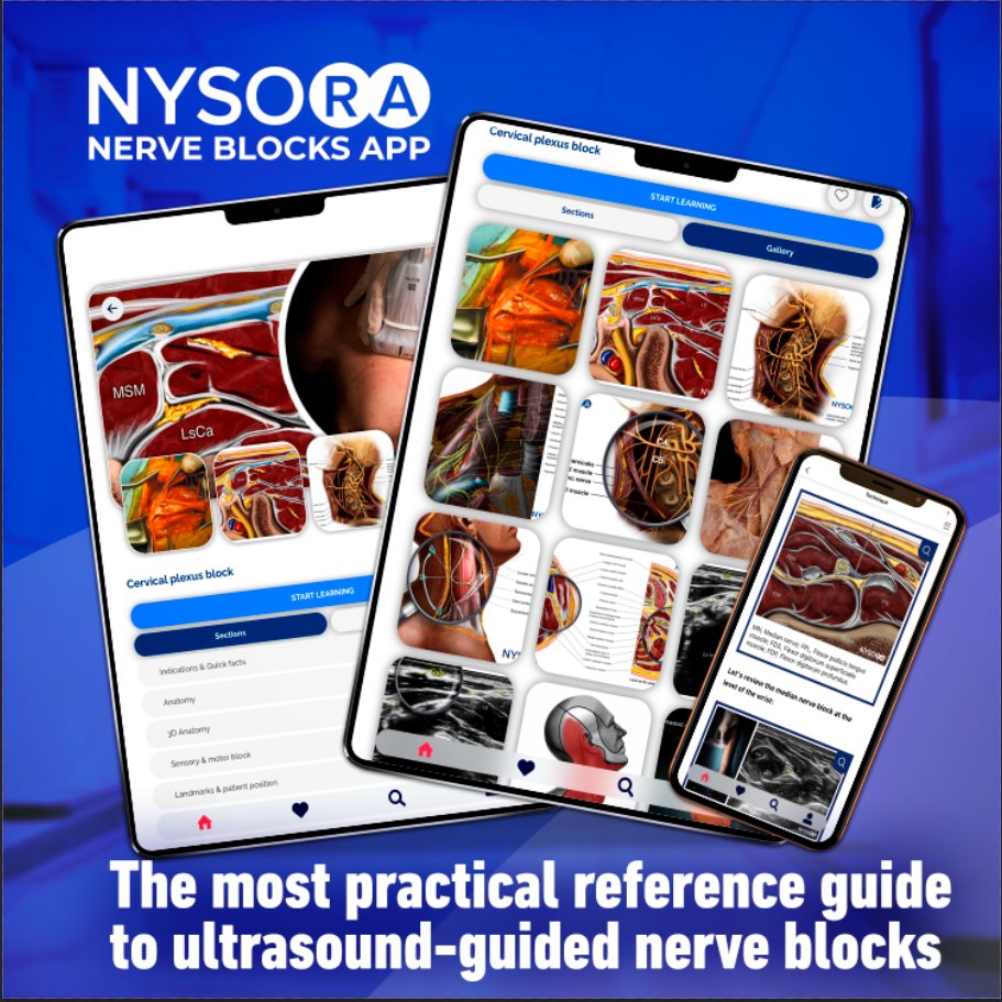 ✨ NYSORA Nerve Blocks App now available on your tablet! We have upgraded the tablet view for you to learn or teach nerve blocks. Simply download the app on your tablet and start your learning experience!Learn more here: go.nysora.com/nerve-block-ap….

#nysora #nerveblock #anesthesia