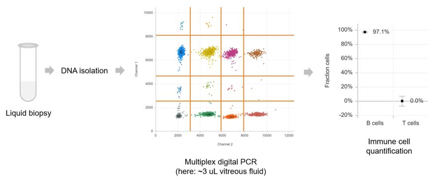 Rogier J. Nell tweet media
