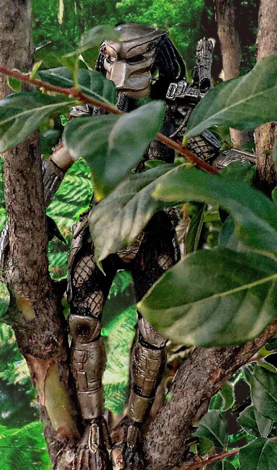 thegr8one85's tweet image. Y’all already know I don’t have a nice backyard for outdoor photography, so I had to improvise with what I got. Hope y’all enjoy these #Prednesday pics😁