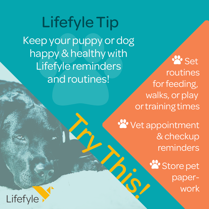 LifefyleLtd's tweet photo. Keep your puppy or dog happy and healthy with Lifefyle reminders and routines!
#productivityapp #adminlife #organizer #lifeadminday #declutteryourmind #adminfriday #decluttered #declutterlikeamother #productivityinbusiness #adminday #decluttering #organizedlife #productiveday https://t.co/3GCQe1uYhh