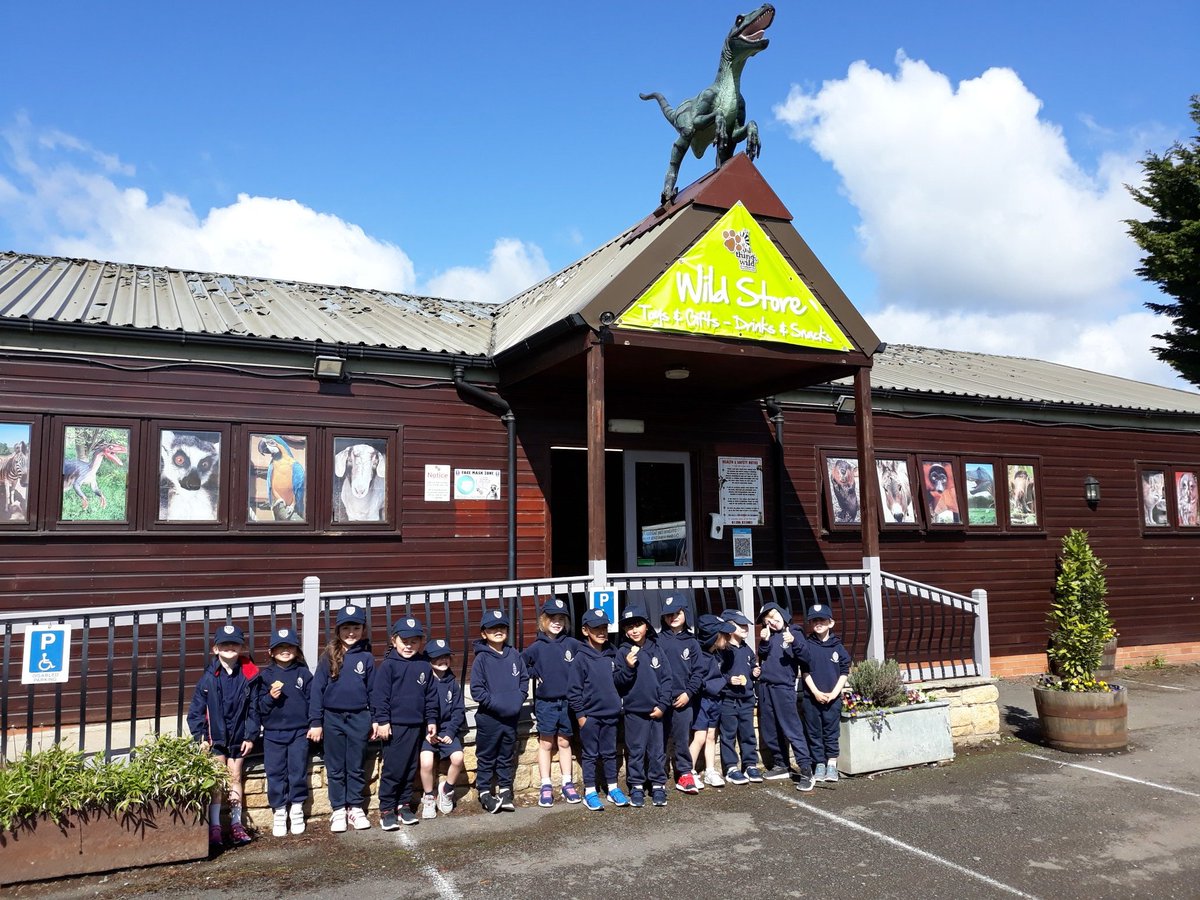 KingsStAlbans's tweet photo. Reception are on their first ever school trip today at All Things Wild! We're having a great day exploring and its great to be out and about again- especially when the sun is shining! ☀️ @AllThingsWild1 #meettheadventurous #KingsStAlbans #outdoorlearning https://t.co/lsyq8mU4Ok