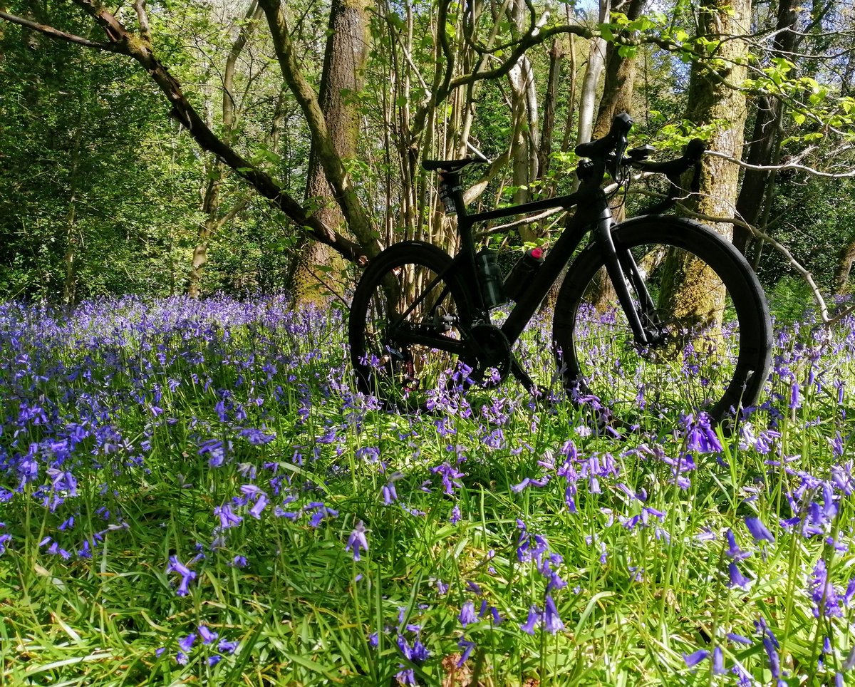 Bike rides be like...

#cycling #cyclinglife #bikes #bikeride #training #mycanyon #yorkshire #bikesofinstagram #infocrankpowermeter #ceramicspeed #mucoff #canyonesports #canyonbikes