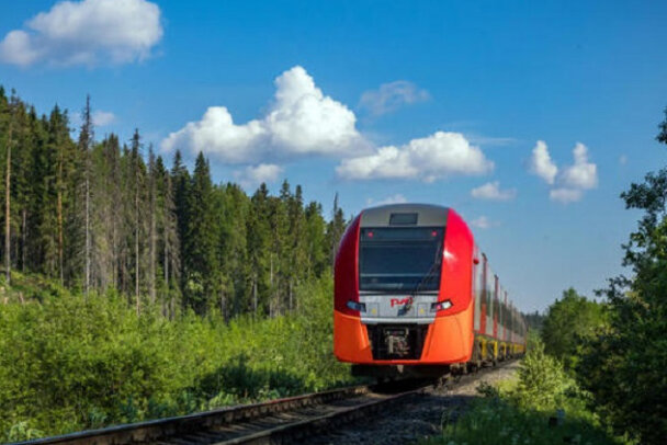Ласточка москва санкт петербург бизнес класс фото