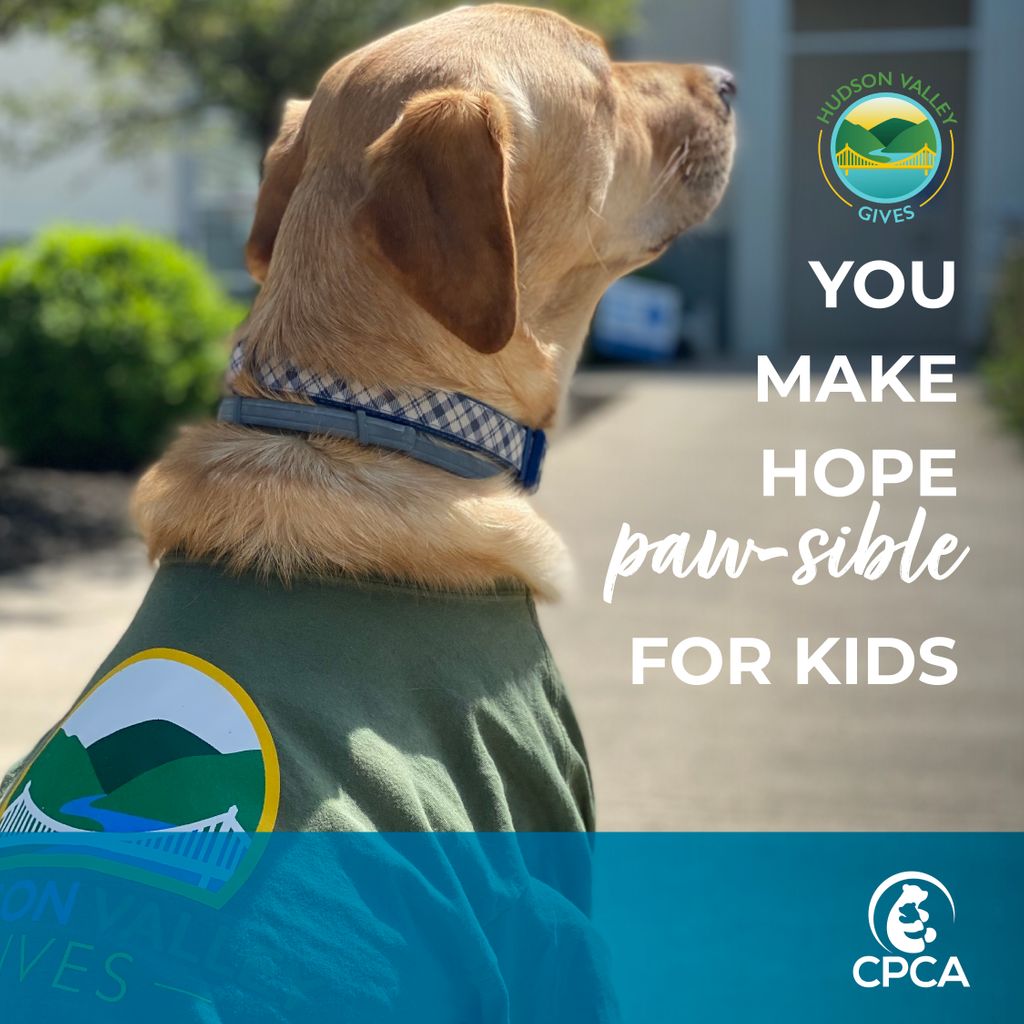 🚨🚨Today we join nonprofits around the HV to #GiveWhereYouLive.🚨🚨 This year, when you participate in #HVGives & support The CPCA, you will be providing ongoing care to Peace, our facility dog.👀 See how your continued support helped 1 child open up. buff.ly/3eXISIX