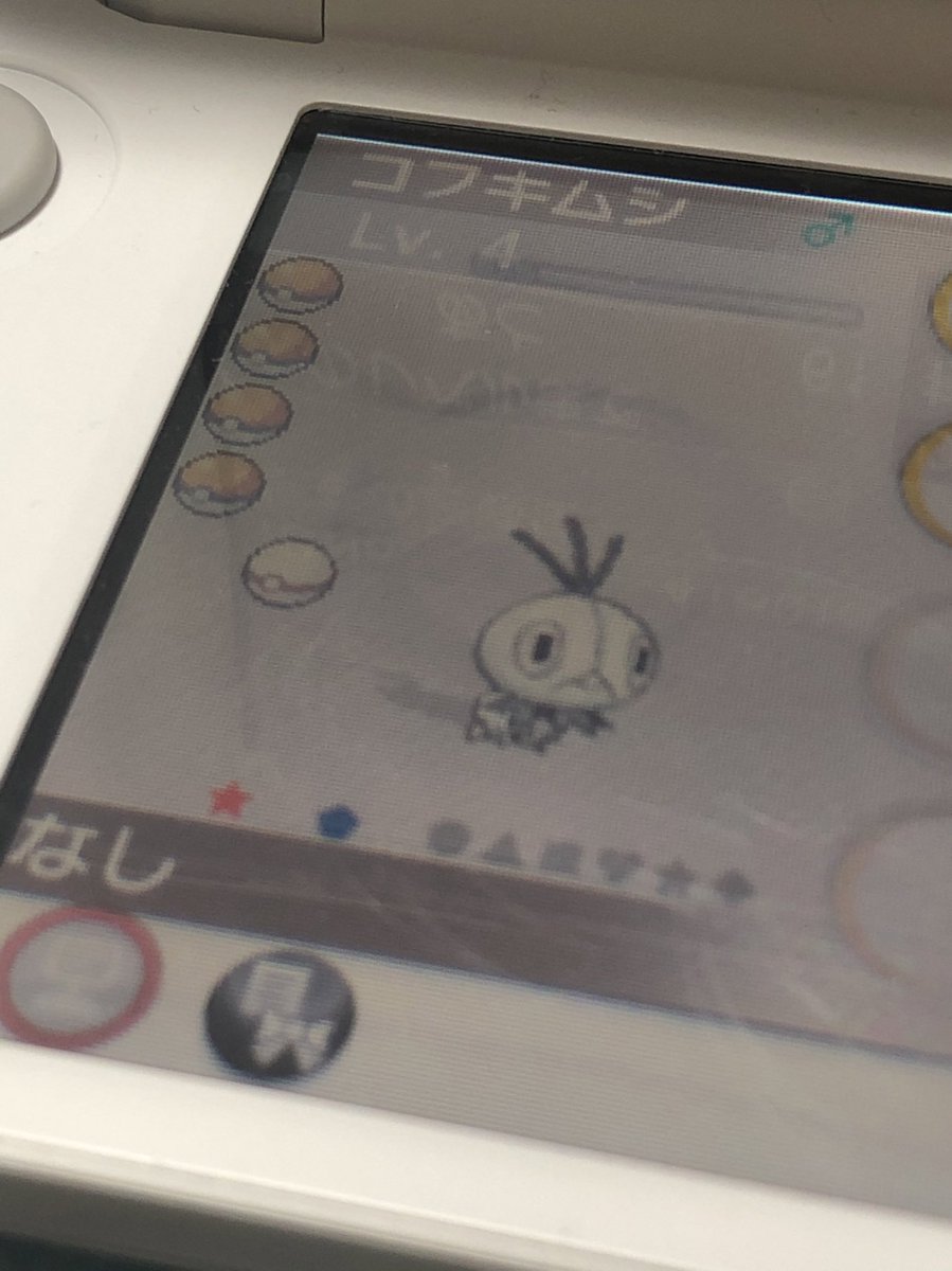 コフキムシ コフキムシ