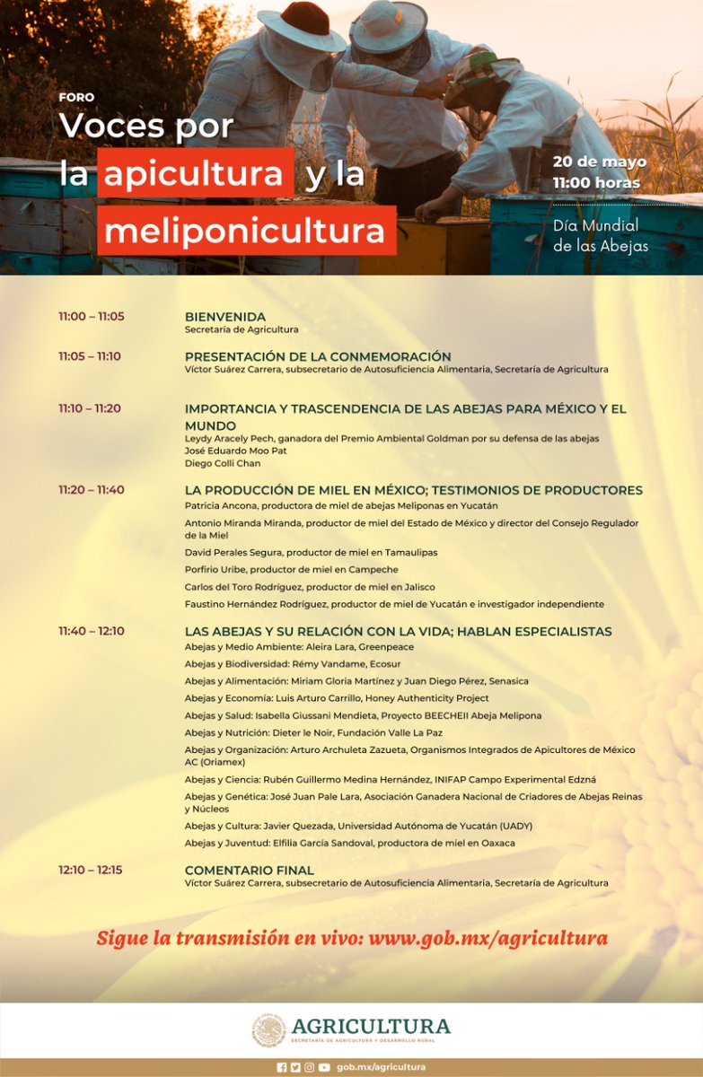 🐝Este jueves, en el marco del Día Mundial de las Abejas, no te pierdas nuestro foro “Voces por la apicultura y la meliponicultura”. 

📅Jueves 20 de mayo.
🕚11 hrs.

Sigue la transmisión en vivo en gob.mx/agricultura o en nuestras redes sociales.
