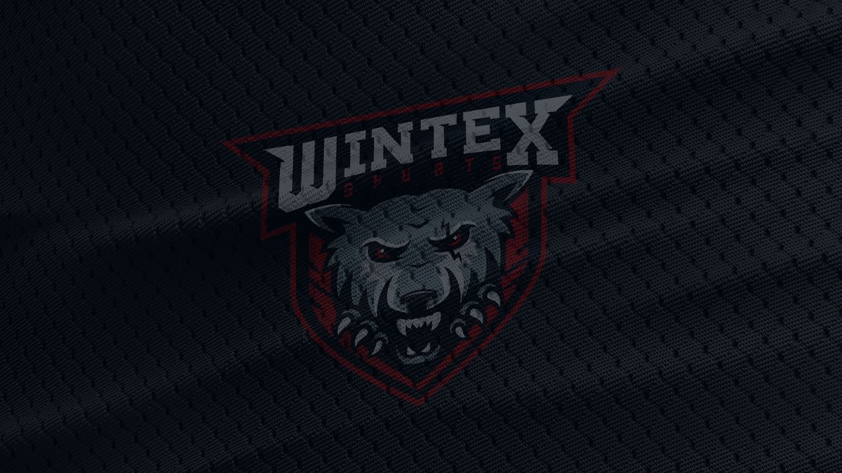 Wir suchen dich! Werde nun als Spieler Teil von Wintex-Sports!

ts.wintex-sports.com