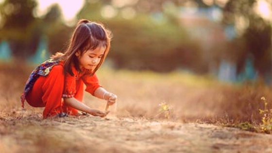 IT TAKES TIME—loose, unstructured dreamtime—to experience nature in a meaningful way. ~ Richard Louv