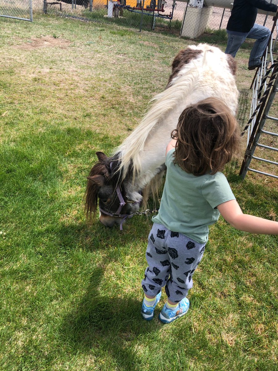 Ellicott School District 22 Yesterday Our Preschool Students Had A Fabulous Time With A Few Neigh Bors From Wishing Star Farm What A Fun Activity To End The School Year