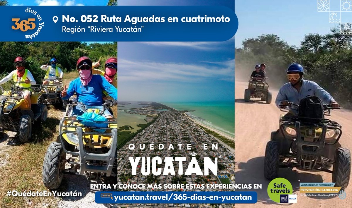 YucatanTurismo's tweet image. A 15 minutos de la ciudad de Mérida podrás vivir un recorrido único y lleno de acción. Súbete a una cuatrimoto todo terreno y disfruta de la adrenalina de recorrer la selva maya de #Yucatán con tu familia y amigos.
#QuédateEnYucatán
#365DíasEnYucatán

 yucatan.travel/experiencia/05…