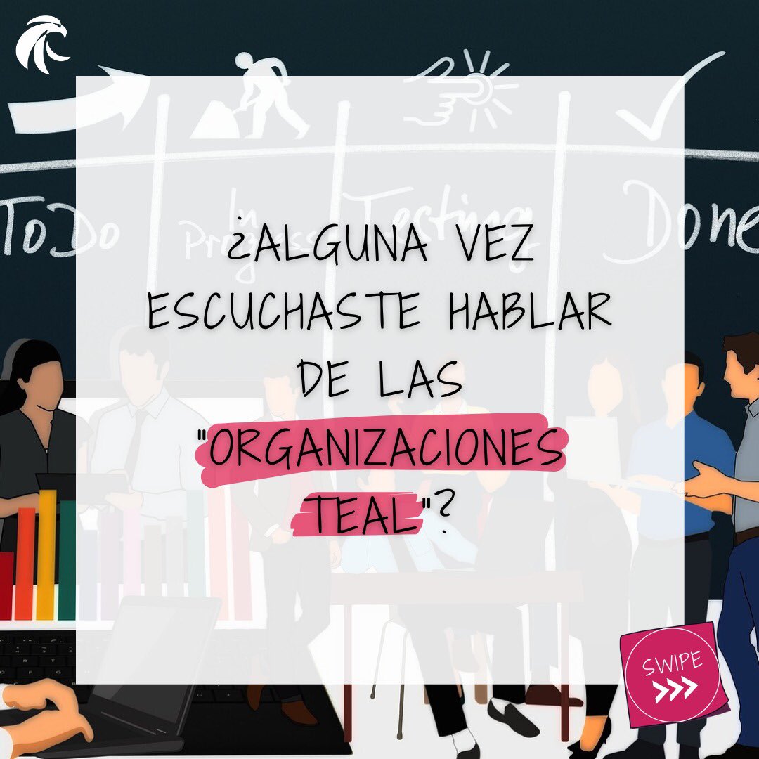 Peregrinus tweet media
