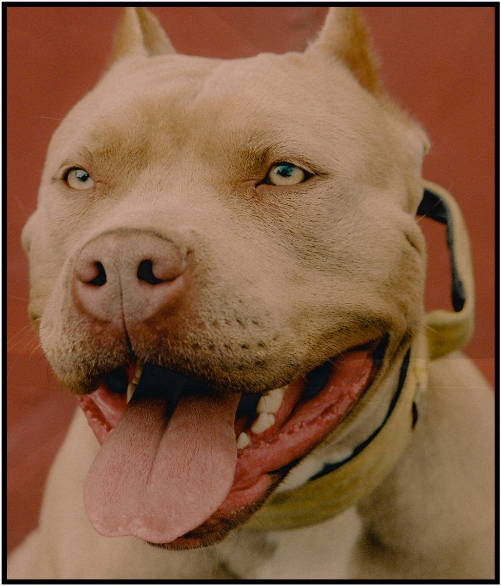 Enjoy this beauty full crop.