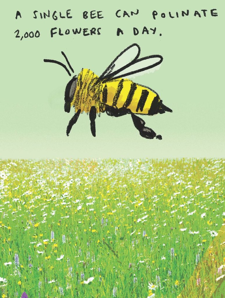 rameshpandeyifs's tweet photo. Every small creature has a big role to play in a an ecosystem. Bees pollinate and help ensuring food production. A single bee can pollinate 2000 flowers a day. Tomorrow is #WorldBeeDay. https://t.co/4XAp1w9uvj