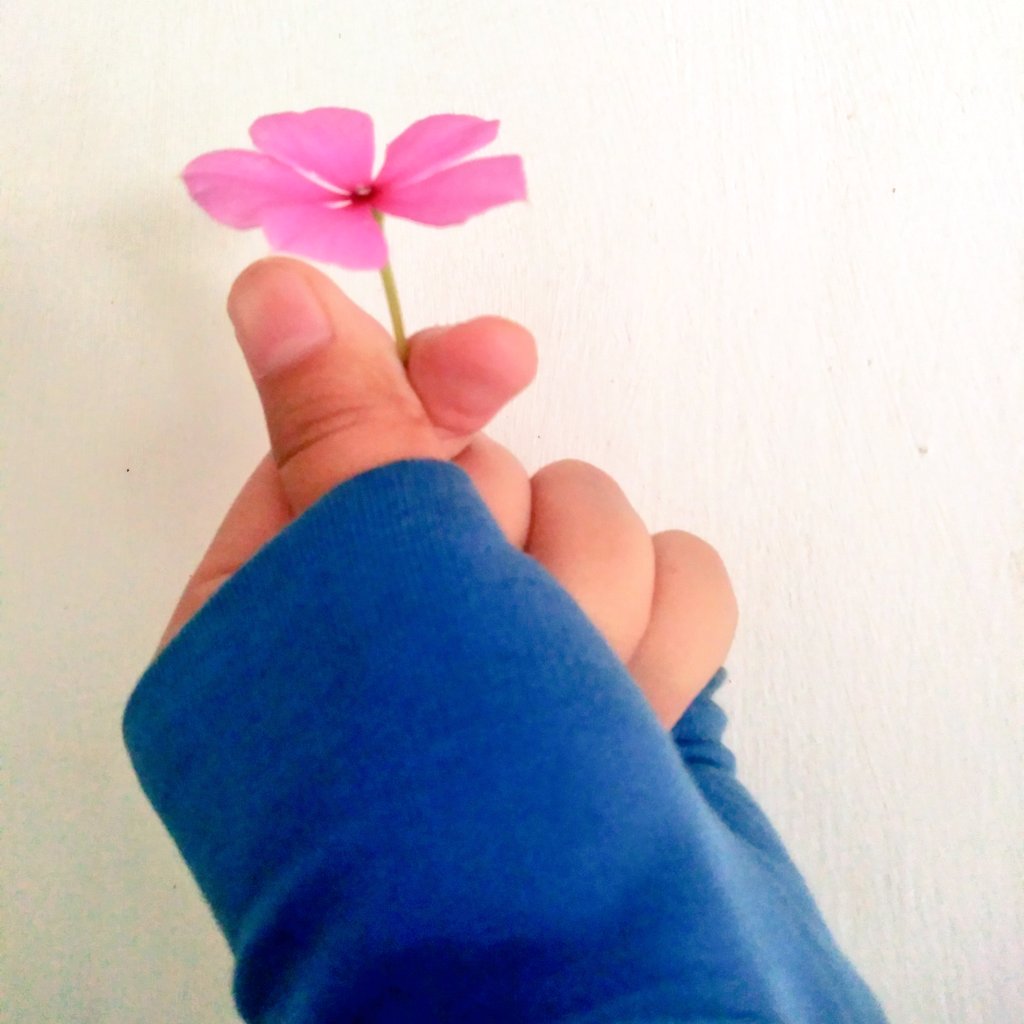 AnidaRafa's tweet photo. #FotoProfilBaru 
Terkadang seseorang baru mengerti baiknya suatu hal, setelah hal itu menjauh bahkan pergi
.
.
.
Self reminder(✿^‿^) https://t.co/3mWfLoa0PB
