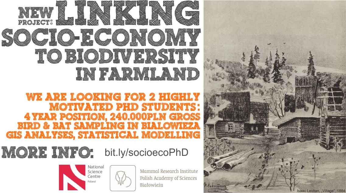 MZmihorski's tweet image. I'm looking for 2 PhD students: ecology and conservation in Białowieża, Poland.