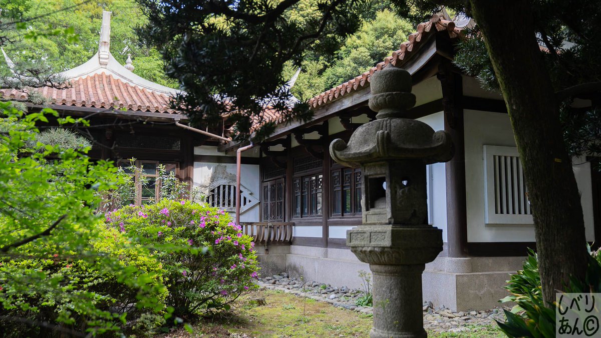 台湾閣 Twitter Search