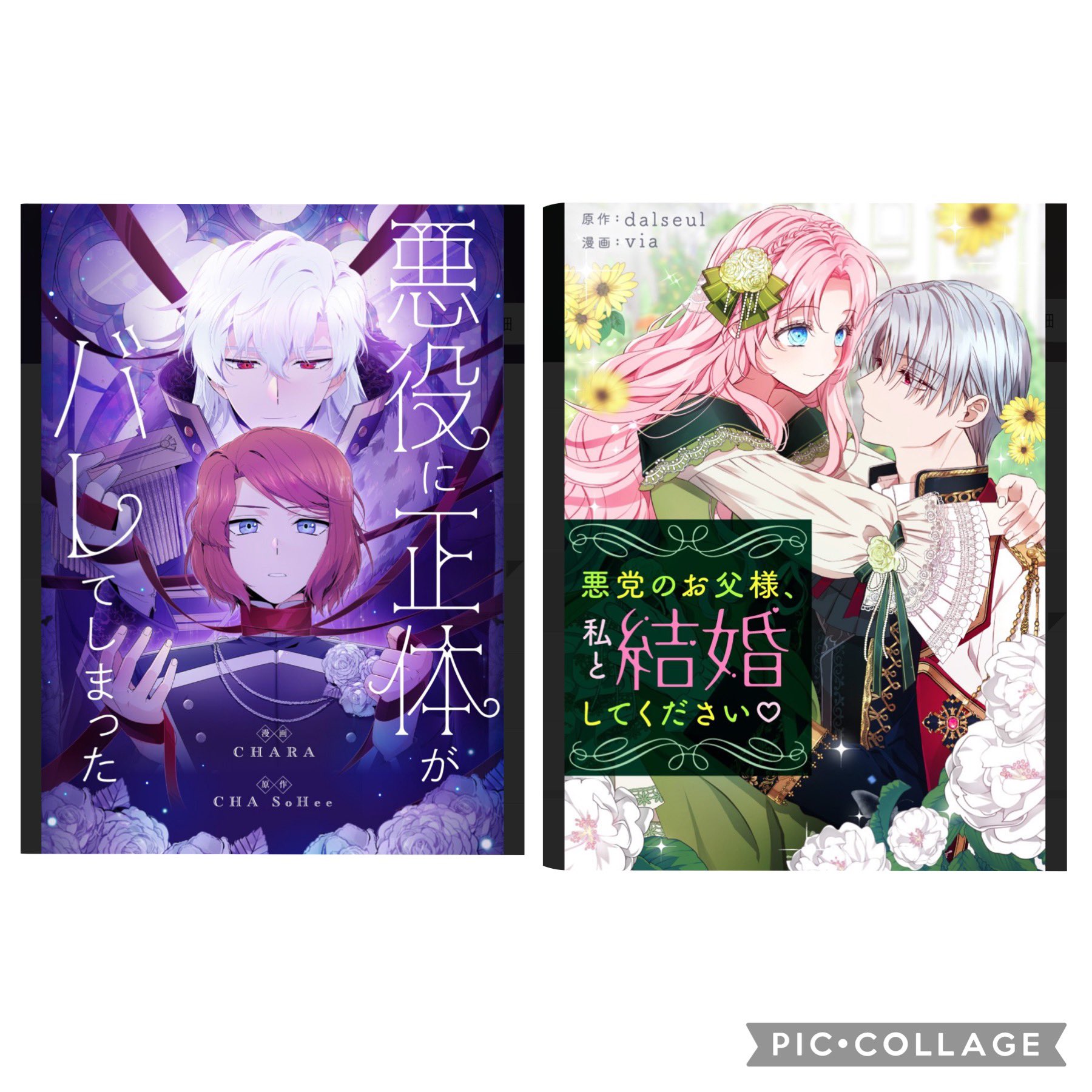 るな 好きな漫画やアニメ垢 ピッコマ2作 悪党のお父様私と結婚してください 小説の大悪党が産まれる前の親世代に転生した 主人公が悲劇を止めるため奔走するおすすめ胸キュン作品 悪役に正体がバレてしまった 展開気になり即課金 弟に男装し実力を隠す