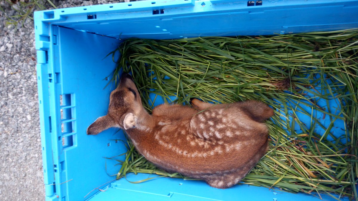 Ick will 'em tweet media