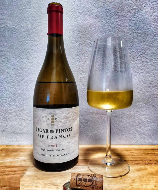 Sobrelias_'s tweet photo. Lagar de Pintos Pie Franco 2017, Bodegas Lagar de Pintos #wine #winelover #vino #winelovers @Rias_Baixas @RVRiasBaixas https://t.co/KXPQm4lUkr https://t.co/gNxYPaqEOM