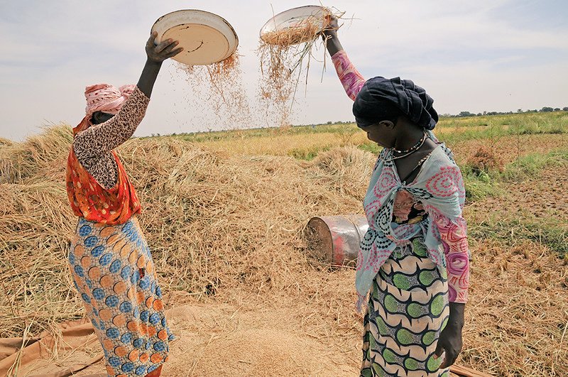 ChimimbaPhiri's tweet image. Today, I was happy to make a keynote address at the #EastAfricaRice conference.

#UNFAO is working with regional &amp;amp; global development partners, including through #SouthSouthTriangularCooperation, to support the transformation of #EastAfrica&apos;s Rice value chains.