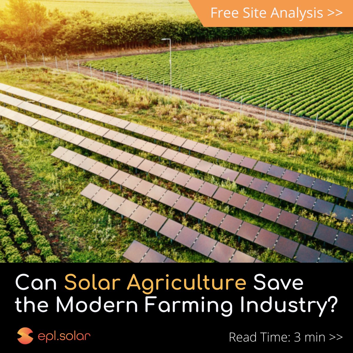 EplSolar's tweet image. #SolarAgriculture also known as #agrivoltaic or dual-use farming, allows #farmers to install #solarpanels that offer a way to make their energy use more efficient, and directly enhance their farming capabilities | Read Time 3 Min &amp;gt;&amp;gt; epl.solar/can-solar-agri…
⁠
⁠