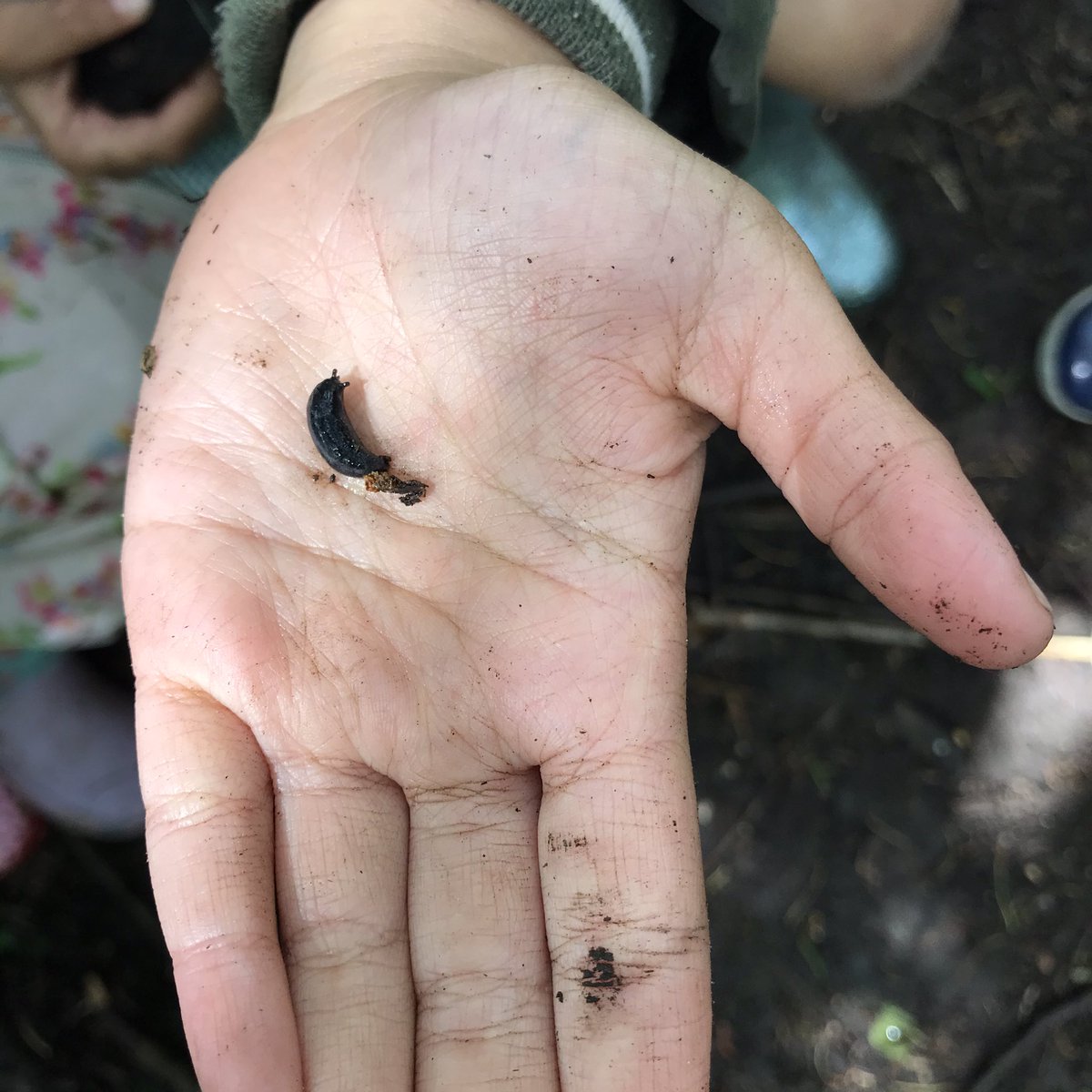 Mrs Lamb tweet media