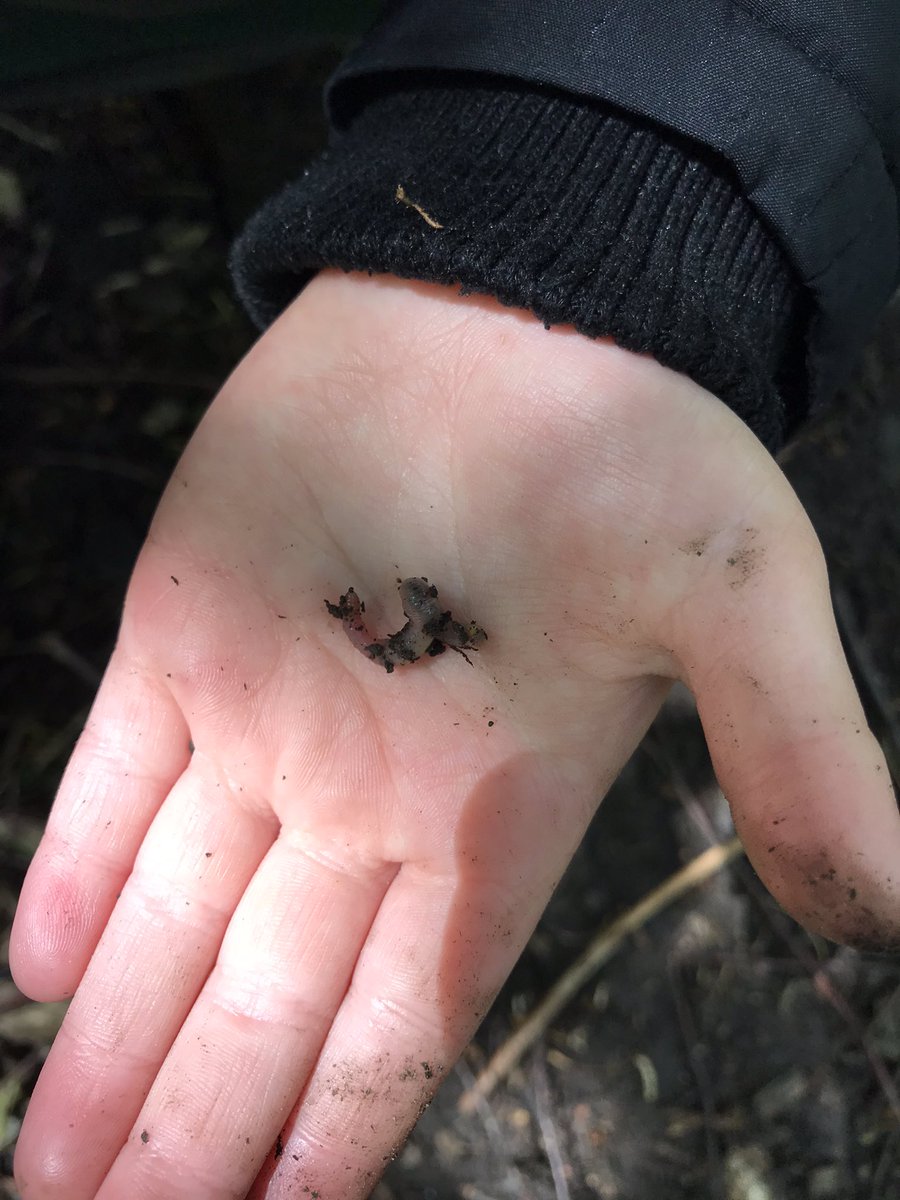 Mrs Lamb tweet media