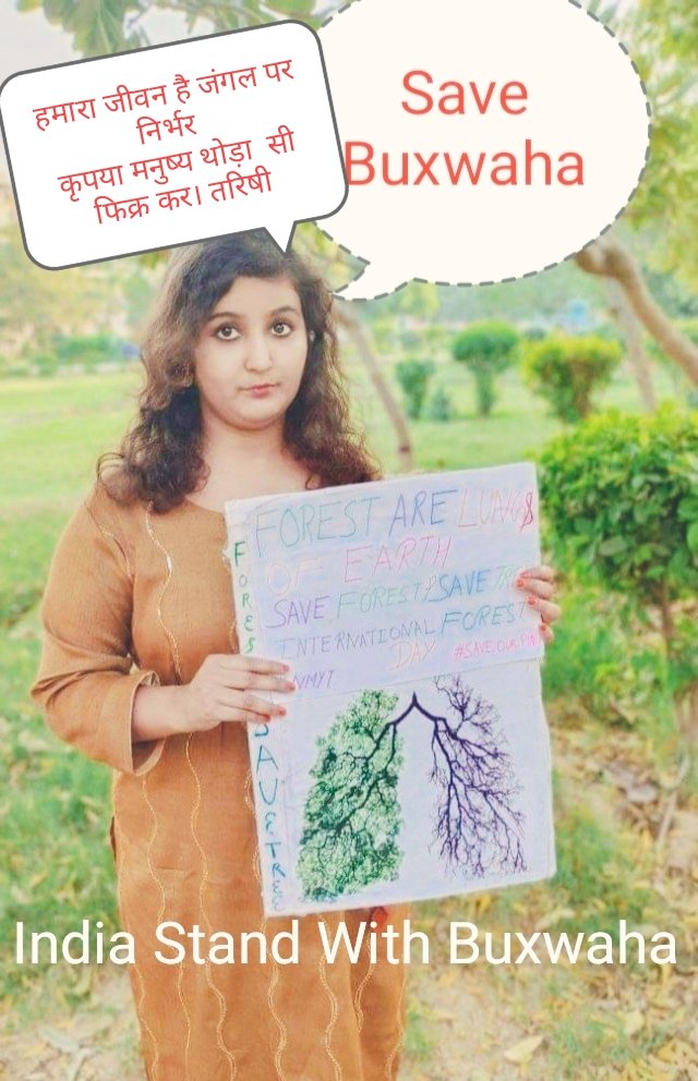 saveplanet999's tweet photo. हमारा जीवन है जंगल पर निर्भर 
कृपया मनुष्य थोड़ा  सी फिक्र कर ।तरिषी
#SAVEBUXWAHAFOREST
India with Buxwaha https://t.co/pgscU3F9S6