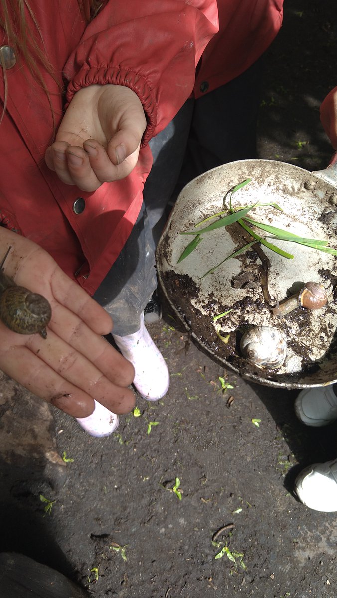 Elm Class loved using our Forest School area to find micro-habitats this week.