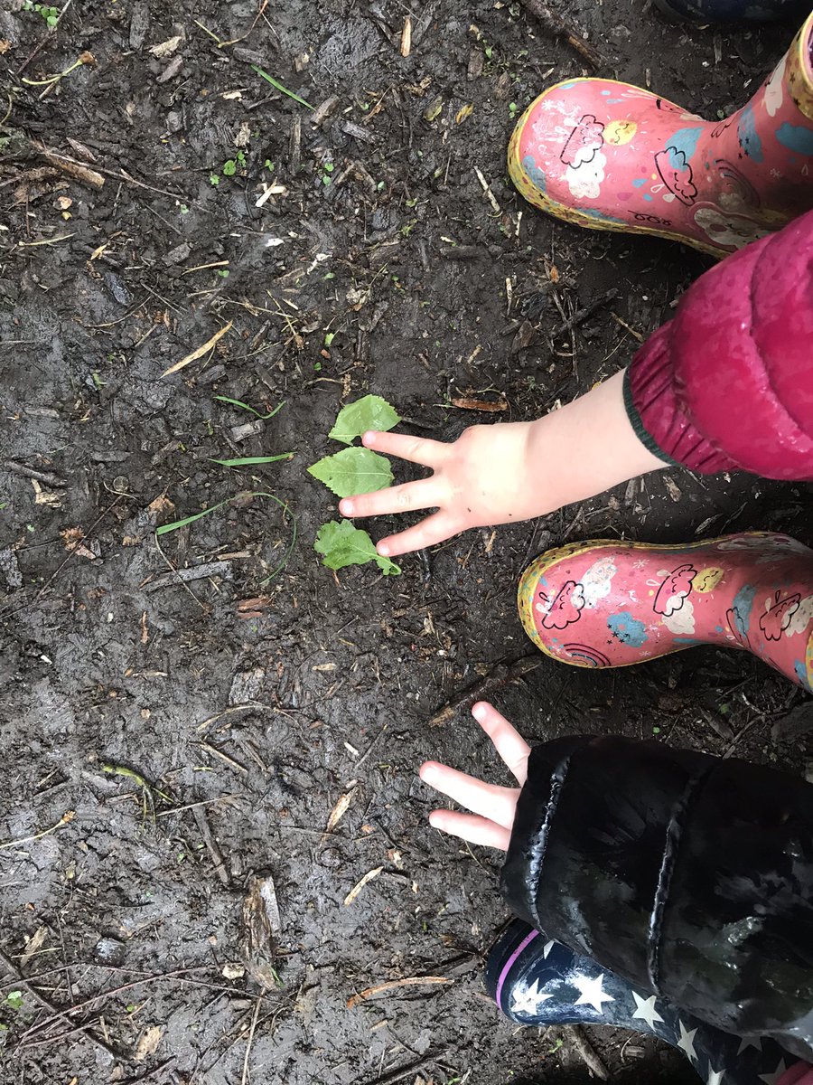 Mrs Lamb tweet media