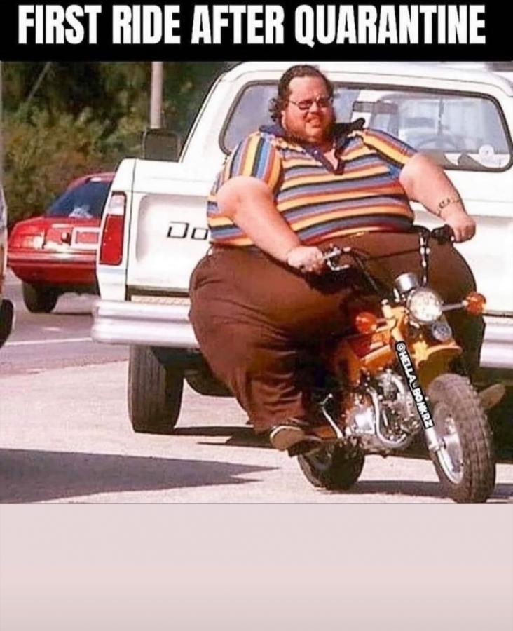 NPV's one and only Mike D (@mikedunphy18) on Twitter photo 