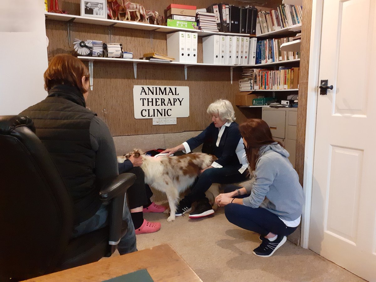 Two lucky IAAT members had the opportunity to spend the morning with Sherry Scott at her #animaltherapy clinic in #Aylesbury, which included a demonstration of the Photizo.
#caninetherapy #physiotherapy #Agility #dogs