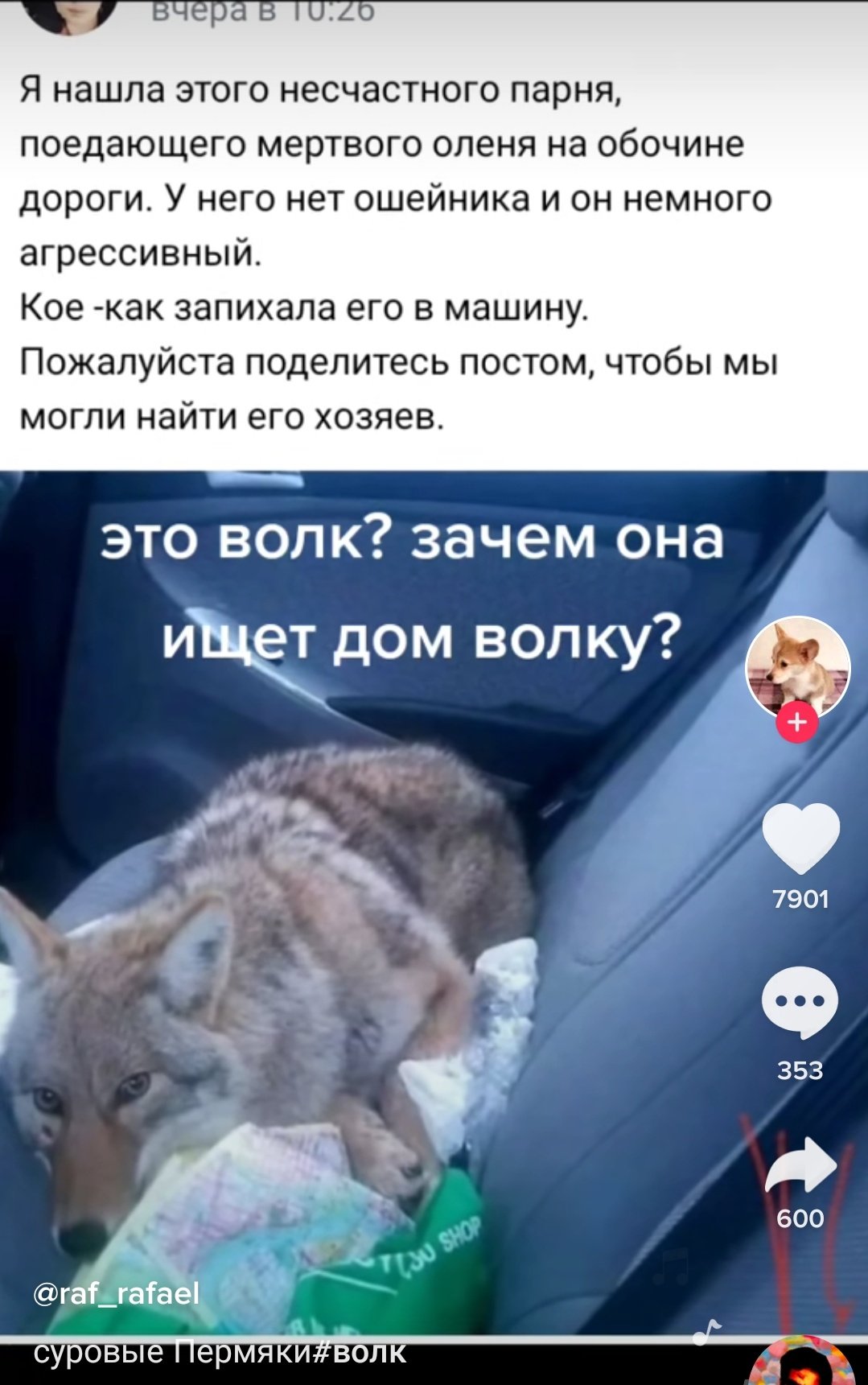 E1wOF9vX0AIEb3l?format=jpg&name=large