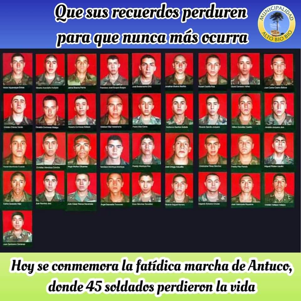 Comuna Alto Biobío tweet media