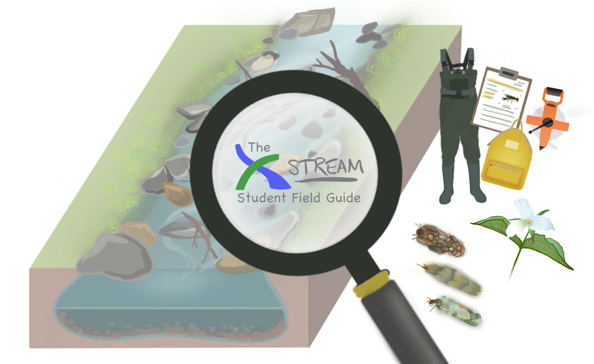 I am very excited to share our link for the xstreamfieldguide.com🌊🔬

This is a resource targeted at high-school students, teaching about stream ecology, health, &amp; environmental stewardship. Please share this with any educators interested in #experientiallearning!