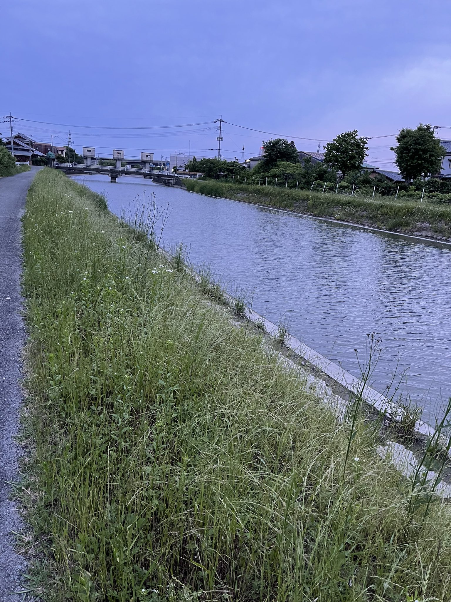 Bass Hiko 柳川水系の塩塚川 本日行ってきましたが 水位が低く 私の技術もありますが ギルしか釣れませんでした 他の釣り人も駄目っぽかったです 見えバスも無かったです しかし釣り場の環境は最高です その分人は多いかな バス