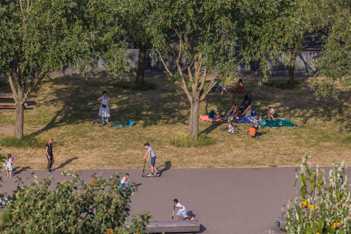 #espacesverts #déconfinement
🌳🌿 Bonne nouvelle, les parcs départementaux vous accueillent à présent de 8h à 21h ! 
😷 Le port du masque reste obligatoire et les rassemblements interdits.
👉 valdemarne.fr/parcs
📸 Parc des Cormailles par E. Legrand