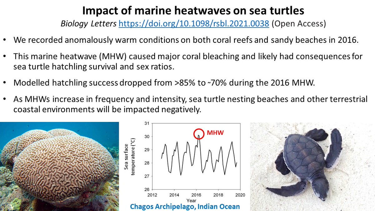 Impacts of marine heatwaves extend to terrestrial systems: doi.org/10.1098/rsbl.2…