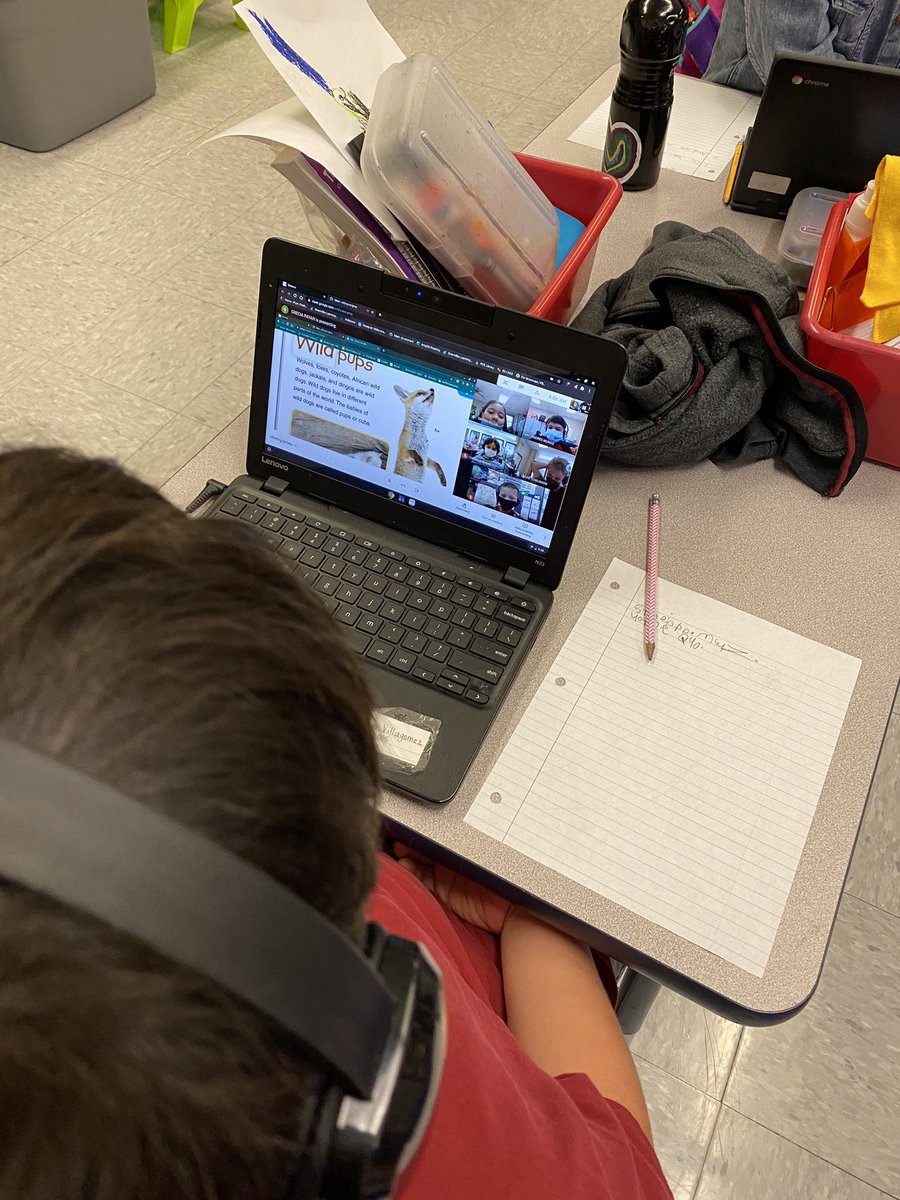 FranzenHayley's tweet photo. This morning first grade students met virtually with @LL_Aman2 students to ask them a question about second grade! The second graders also read them a book! These firsties loved it and can’t wait for second grade! @catgrimm23 @hinklesteph #LoveMyLISD #pcestrong https://t.co/aXX557qKqm
